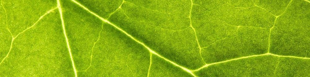 Stem Cell Treatments for Erectile Dysfunction