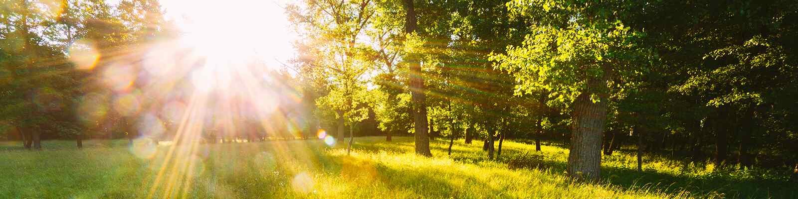 Are You Getting Enough Vitamin D?