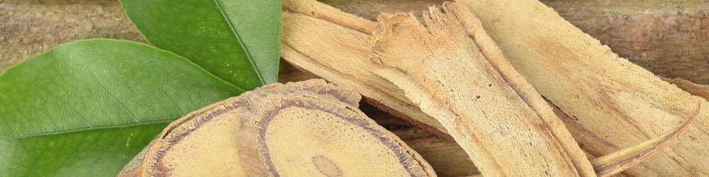Tongkat Ali: The Secret Herb For Amazing Sex