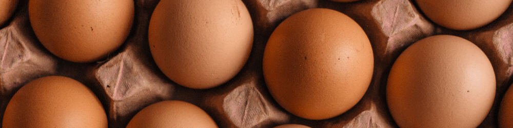 Why You Need Protein In Your Diet