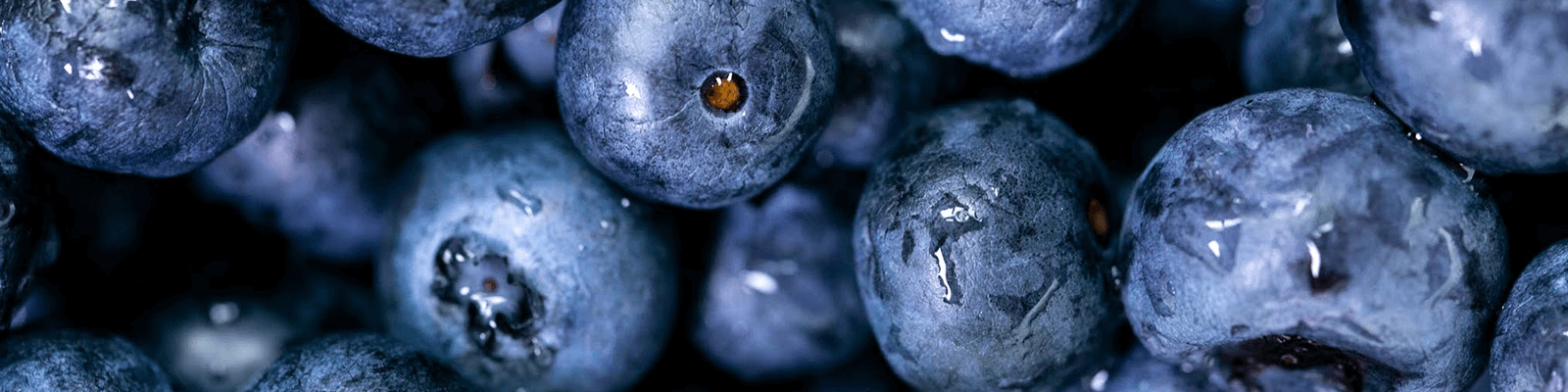 Blueberry Cheesecake