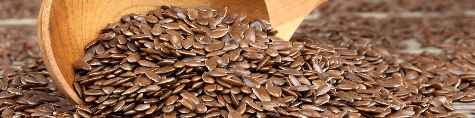 Pumpkin, Flaxseed, and Dark Chocolate Bites