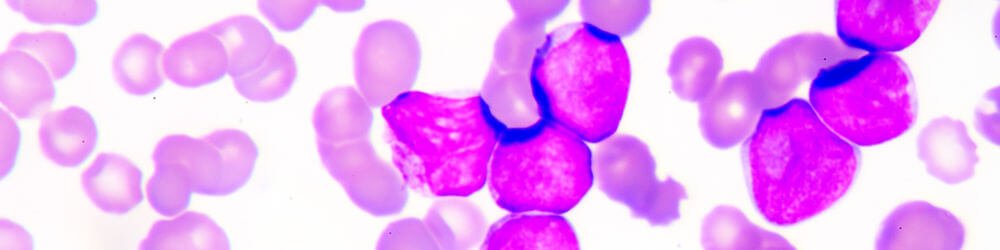 Beta Cell Function in Diabetes
