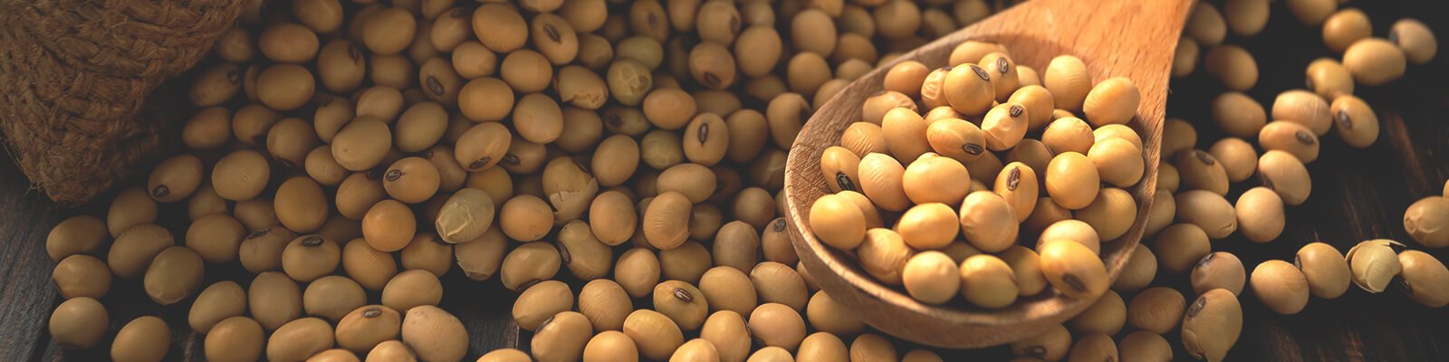 Does Soy Increase Prostate Cancer?