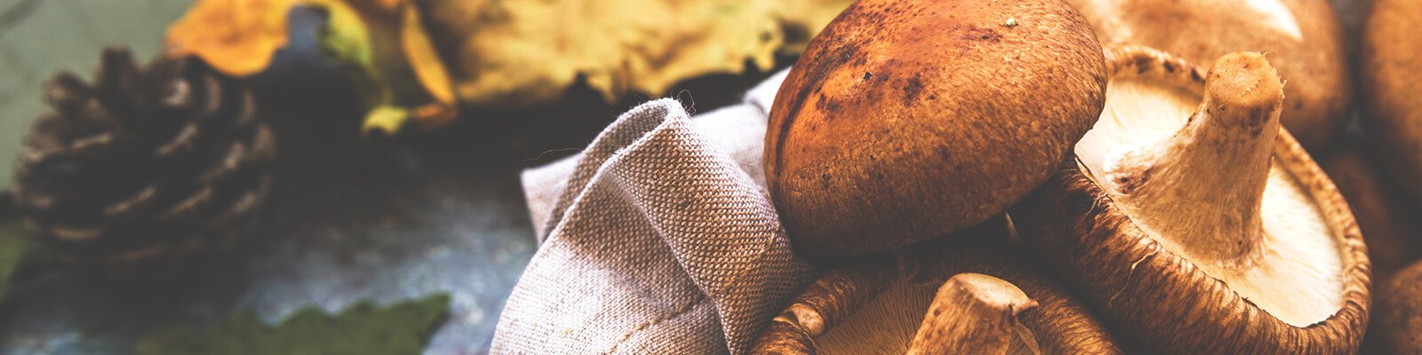 Can Mushrooms Help Reduce Prostate Cancer Risk?
