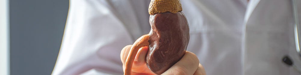 Urinary Tract Stones (Urolithiasis)