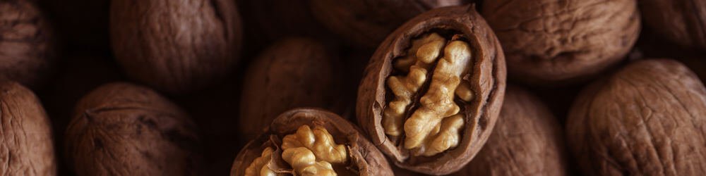 Why Is Male Prostate Anatomy Important?