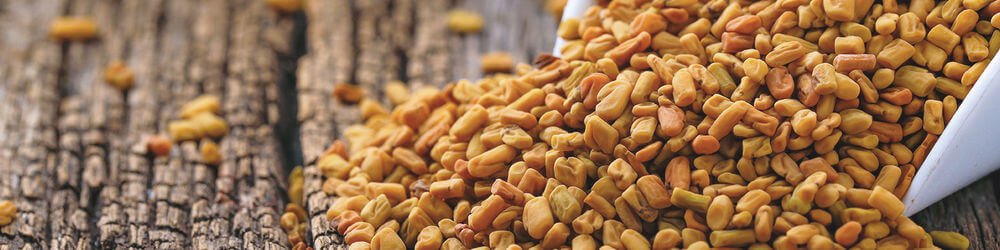 Fenugreek And Diabetes: Blood Sugar Levels Effects