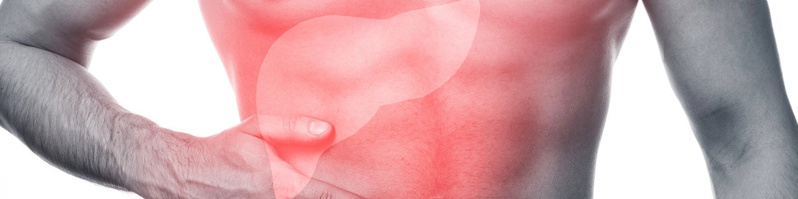 Everything You Need To Know About Fatty Liver