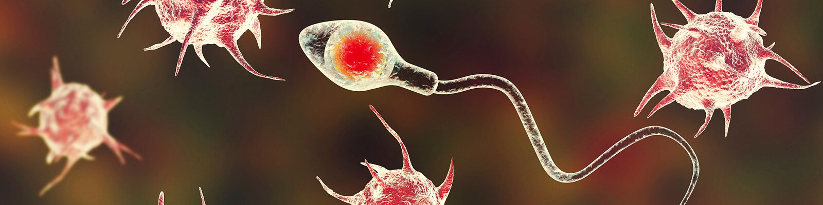 Male Infertility 101: Frequency, Treatments & Diagnosis