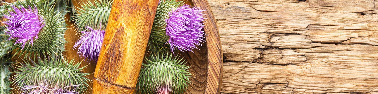 Does Milk Thistle Help Your Liver?