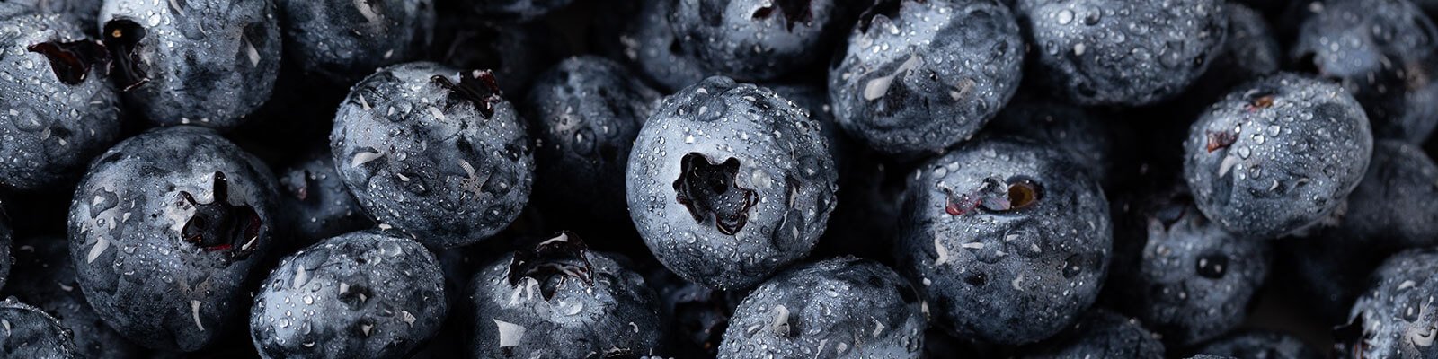 Daily Blueberry Consumption May Help Manage Diabetes