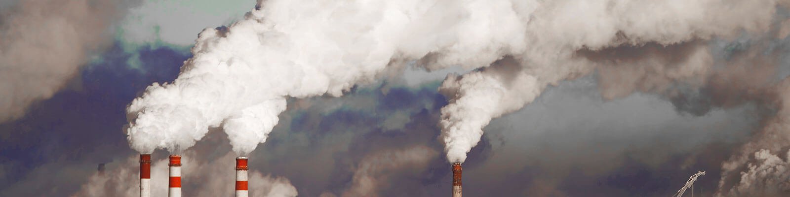Air Pollution Effects: What Are We Breathing and How Bad Is It for Us?