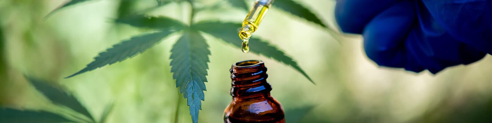 Is CBD Oil Good For Diabetes?