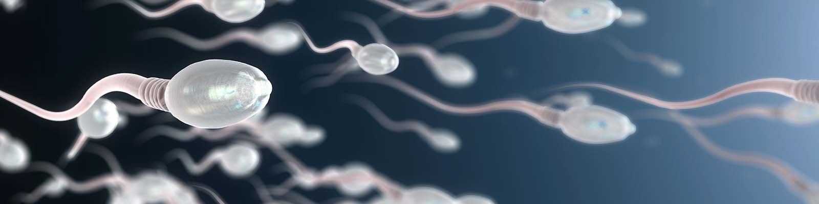 Does Frequent Ejaculation Affect Sperm Count or Fertility?