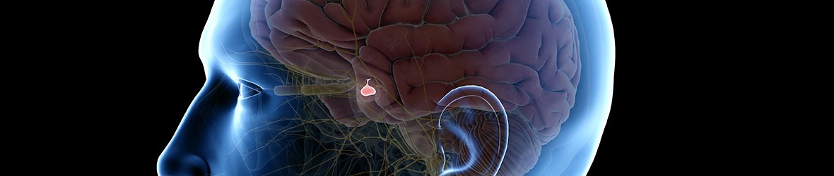 Pituitary Gland Dysfunction in Men