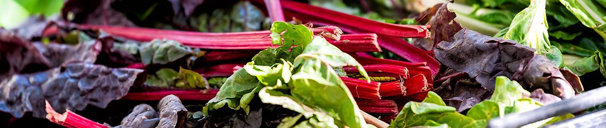 Carvedilol Interactions with Food, Alcohol, Caffeine & Nutrients