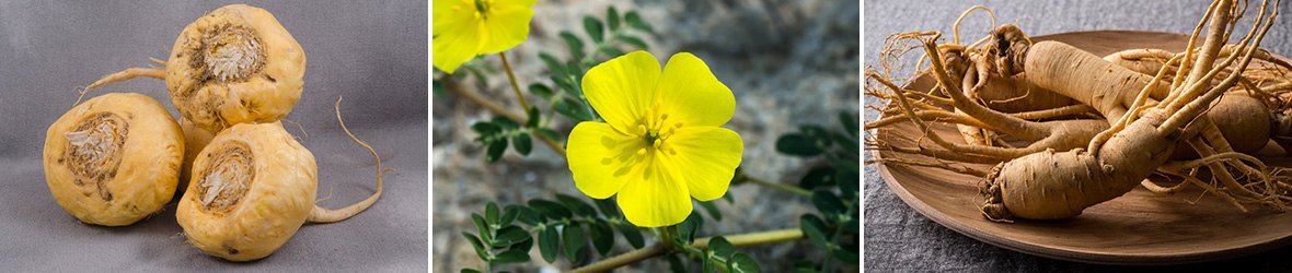 5 Herbs For Erectile Dysfunction