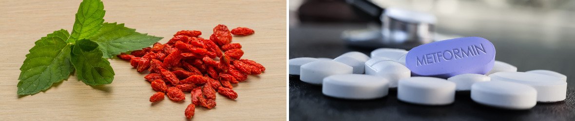 Berberine vs Metformin: Which Is Better For Diabetes? 