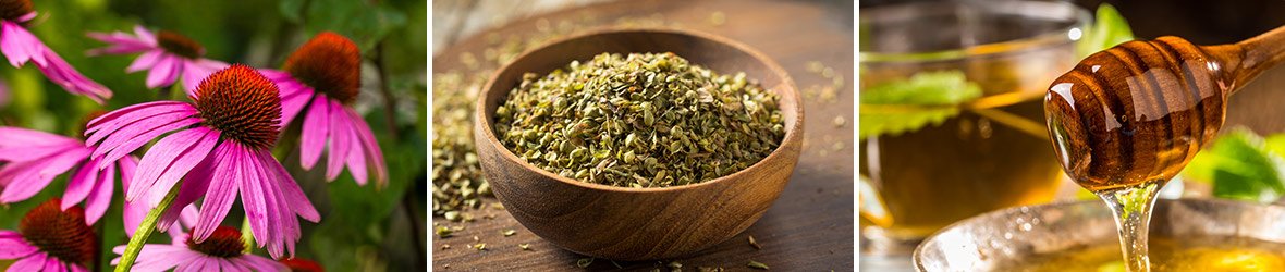 9 Best Natural Antibiotics