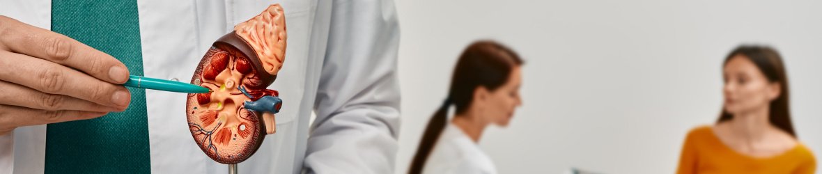 Does Masturbation Affect Your Kidneys?