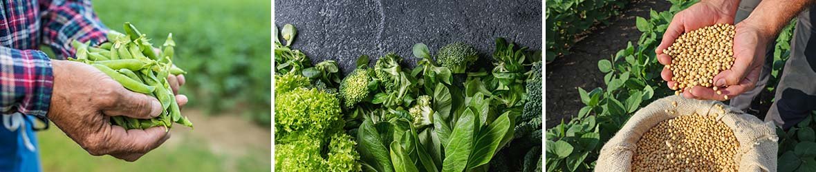 7 Health Benefits of Manganese