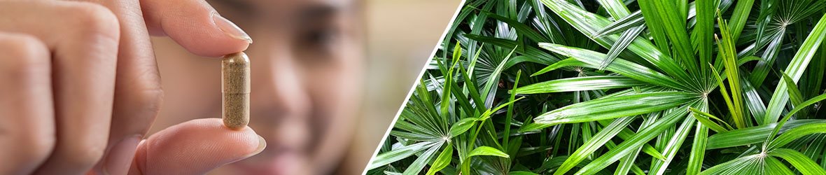 Saw Palmetto for Women: What are the Benefits?