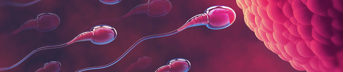 Doctor Answers: Does Ejaculation Help Prostatitis?