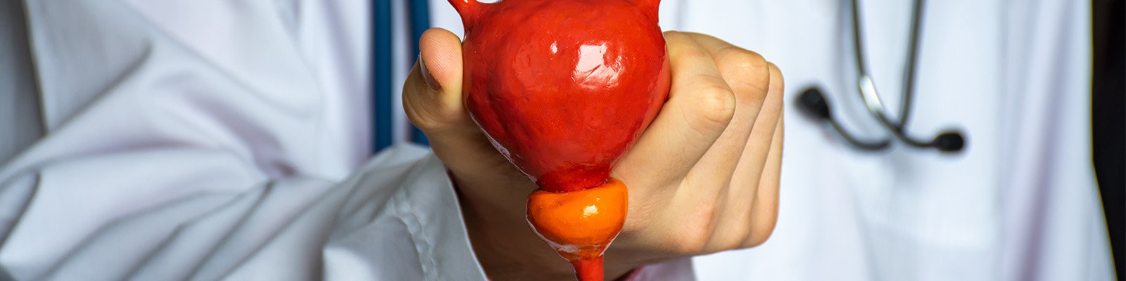 What Is Normal Prostate Size By Age? At 40, 50, 60 & 70+ Years