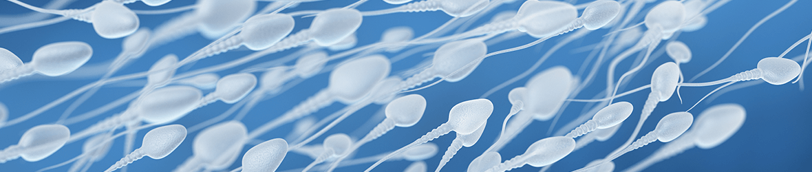 How To Make Sperm Thicker And Stronger?