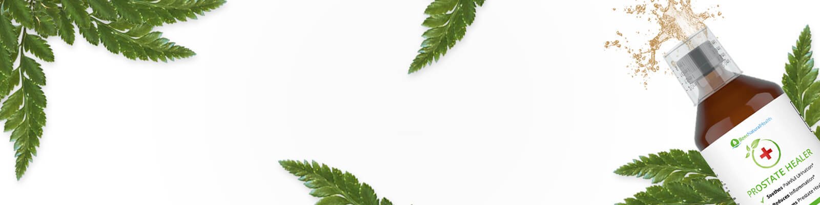 Prostate Healer: Ben’s Natural Treatment for Prostatitis