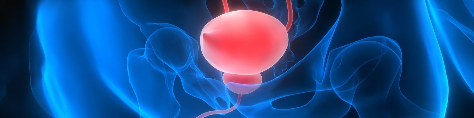 What Happens If A UTI Goes Untreated?