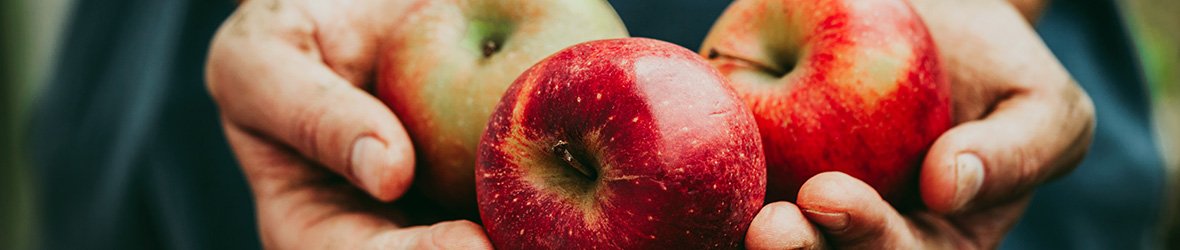 Are Apples Good For Diabetes? Benefits, Risks, Blood Sugar