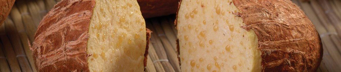 Exploring The Sexual Benefits Of Bitter Kola (Garcinia Kola)