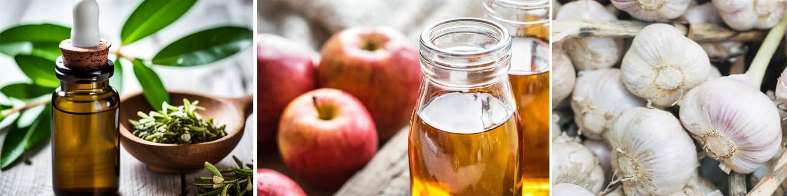 11 Natural Antifungals: Home Remedies For Candida & Ringworm