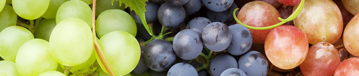 Are Grapes Good For Diabetics? Carb Content and Glycemic Index