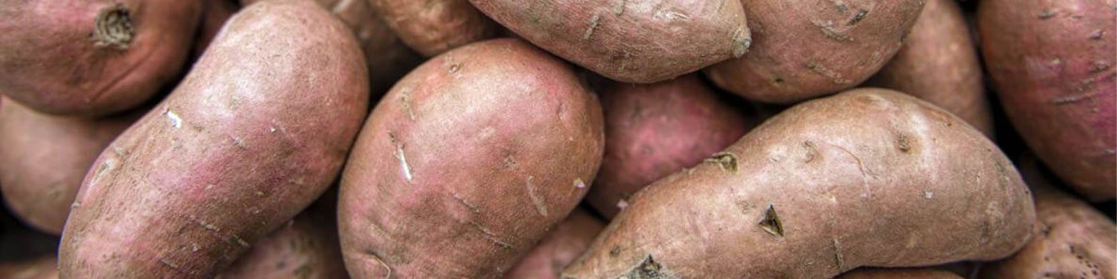 5 Benefits Of Sweet Potato Sexually For Men & Women